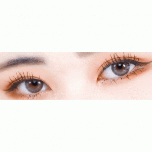 Lighly Lily Gray(日拋)